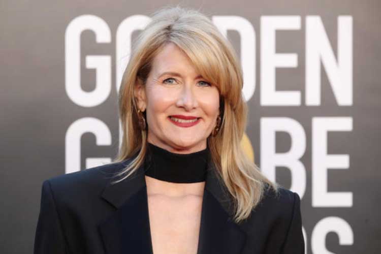 Laura Dern Plastic Surgery Botox Facelift Nose Job 